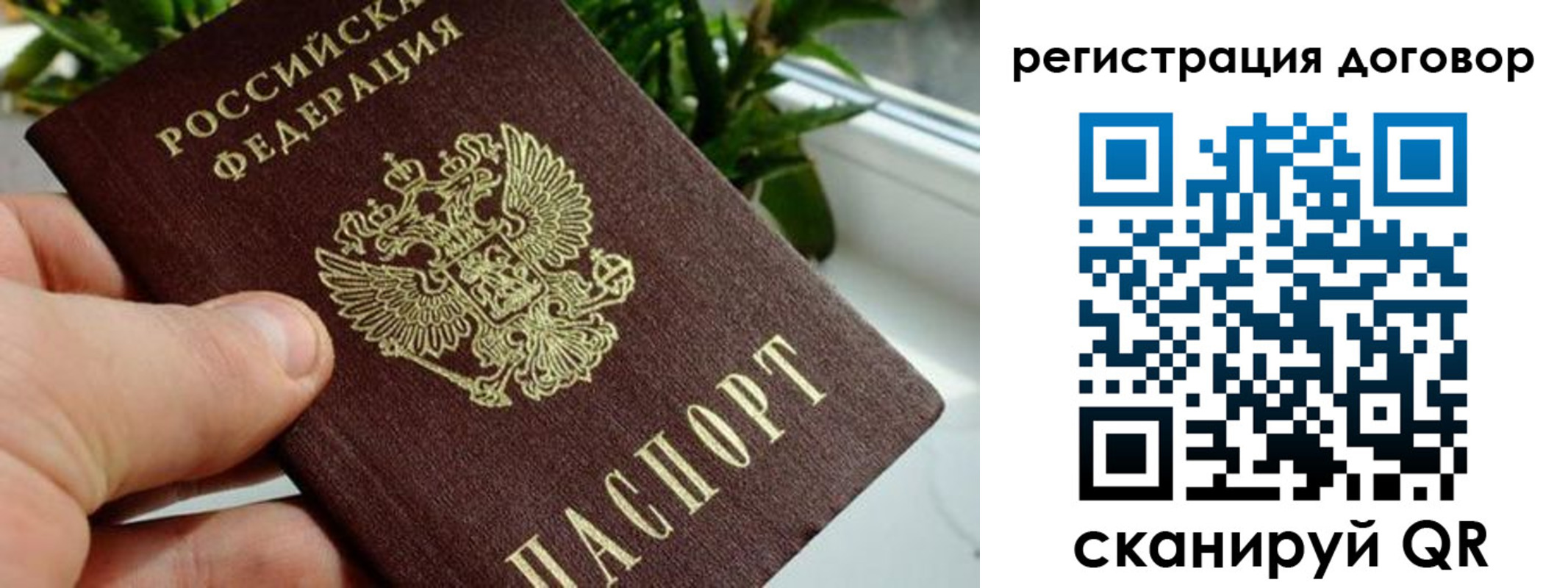 прописка ребенка в Белёве